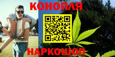 сатива Кинель