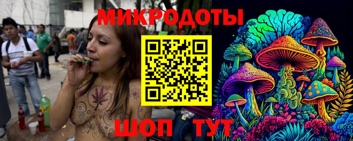 что такое наркотик  Вход с VPN  Заводоуковск  Псилоцибиновые грибы Magic Shrooms  Галлюциногенные грибы Cubensis 